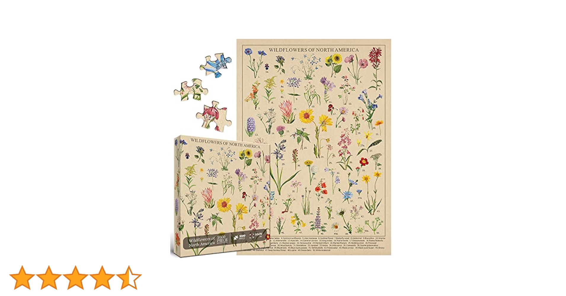 Amazon | ヴィンテージ 野花 パズル 1000ピース 大人用 植物学